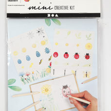 Kit Dessin Insectes