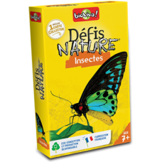 Défis Nature Insecte